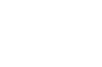 Party of the Left
